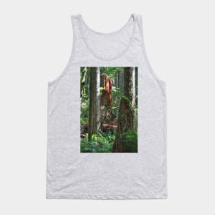 Sunlit Forest Stump Tank Top